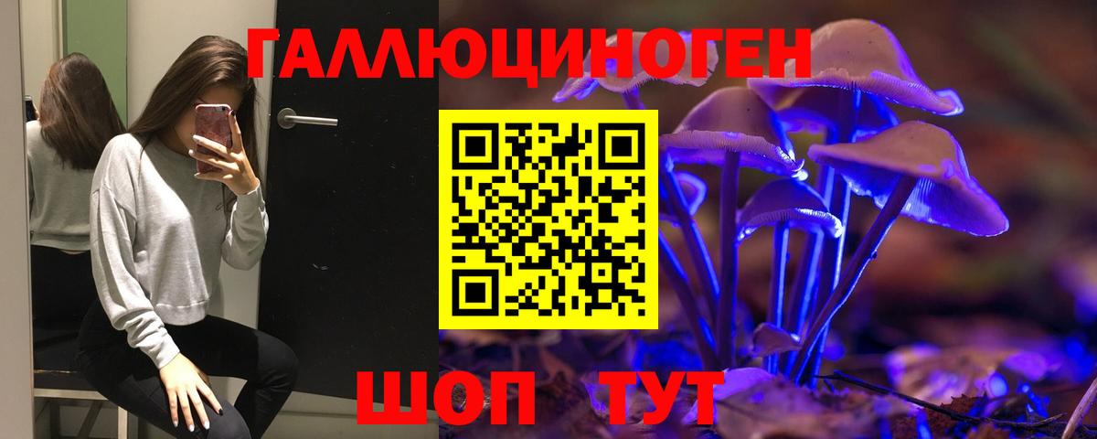 Псилоцибиновые грибы GOLDEN TEACHER Богородск